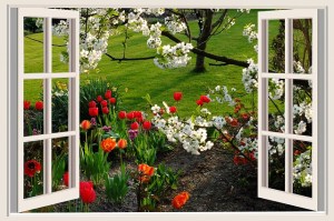 Open Window, flowers blooming