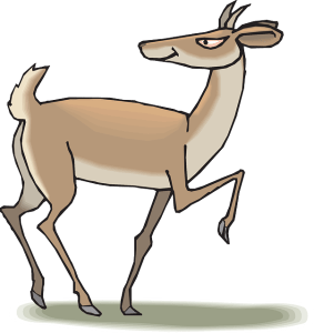 Deer moving forwards but looking backwards