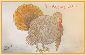 Turkey drawing by Leona J Atkinson 2017