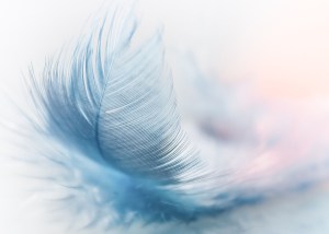 Blue feather