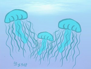 Jellyfish