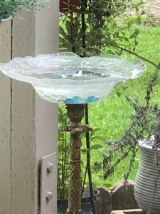Birdbath