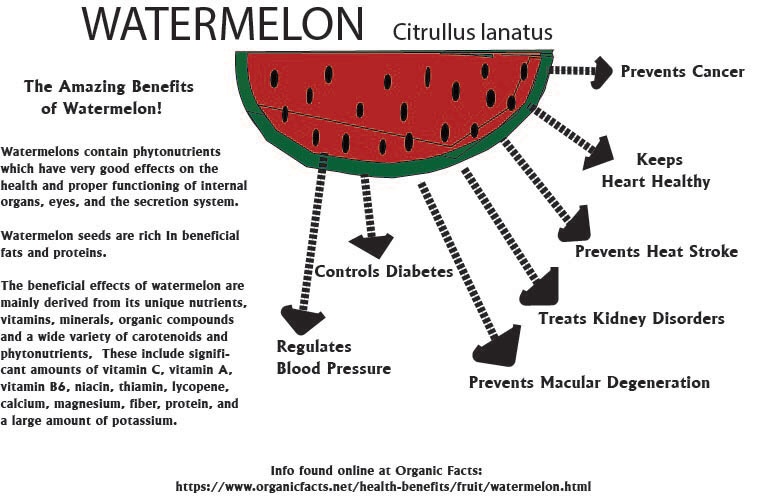 Infograpic on the Benefits of Watermelon