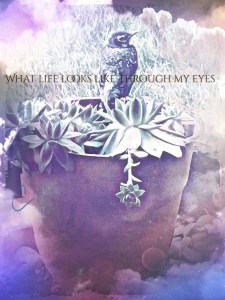 Bird in flowerpot dreaming