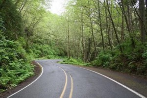 Oregon Highway thru the forest