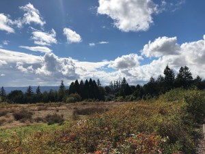 Cooper Mountain,Beaverton, Oregon