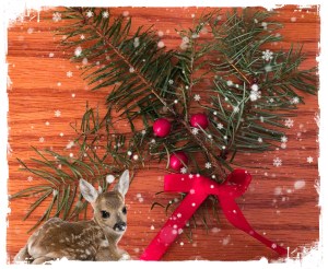 Evergreen, red bow, red berries, baby deer, snowy