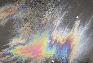 Original Image of an oil slick