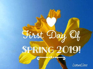 Daffodil, first day of Spring 2019