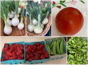 Fresh farm vegetables and fruit at the Market 