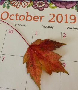 October calendar with fall leaf