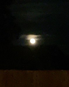 Full Beaver Moon in Oregon  11-13-19