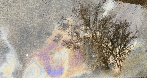 Oil slick image with tree reflection 