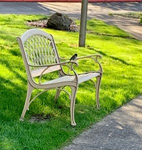 Bird on a garden bench in Spring