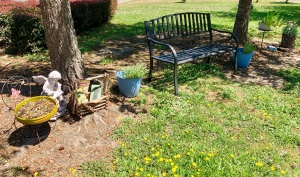 Garden bench under the pine trees 